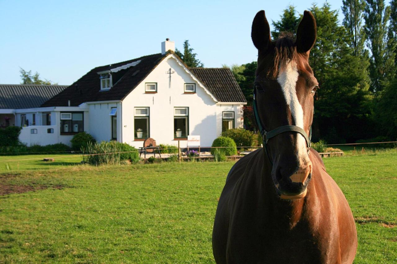 Locatie Het Knooppunt Engelse Chalet Nuis Exterior foto